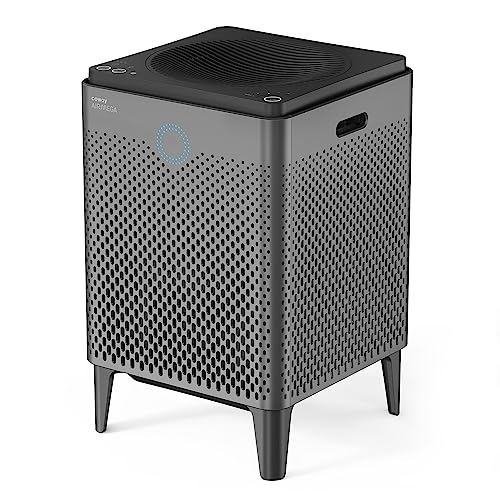 COWAY Air Purifier for Home Large Room Up to 3,120ft², Washable Pre-Filter and HEPA Filter for Smoke, Allergies, Pet Dander, Odor, AQI, Auto & Sleep